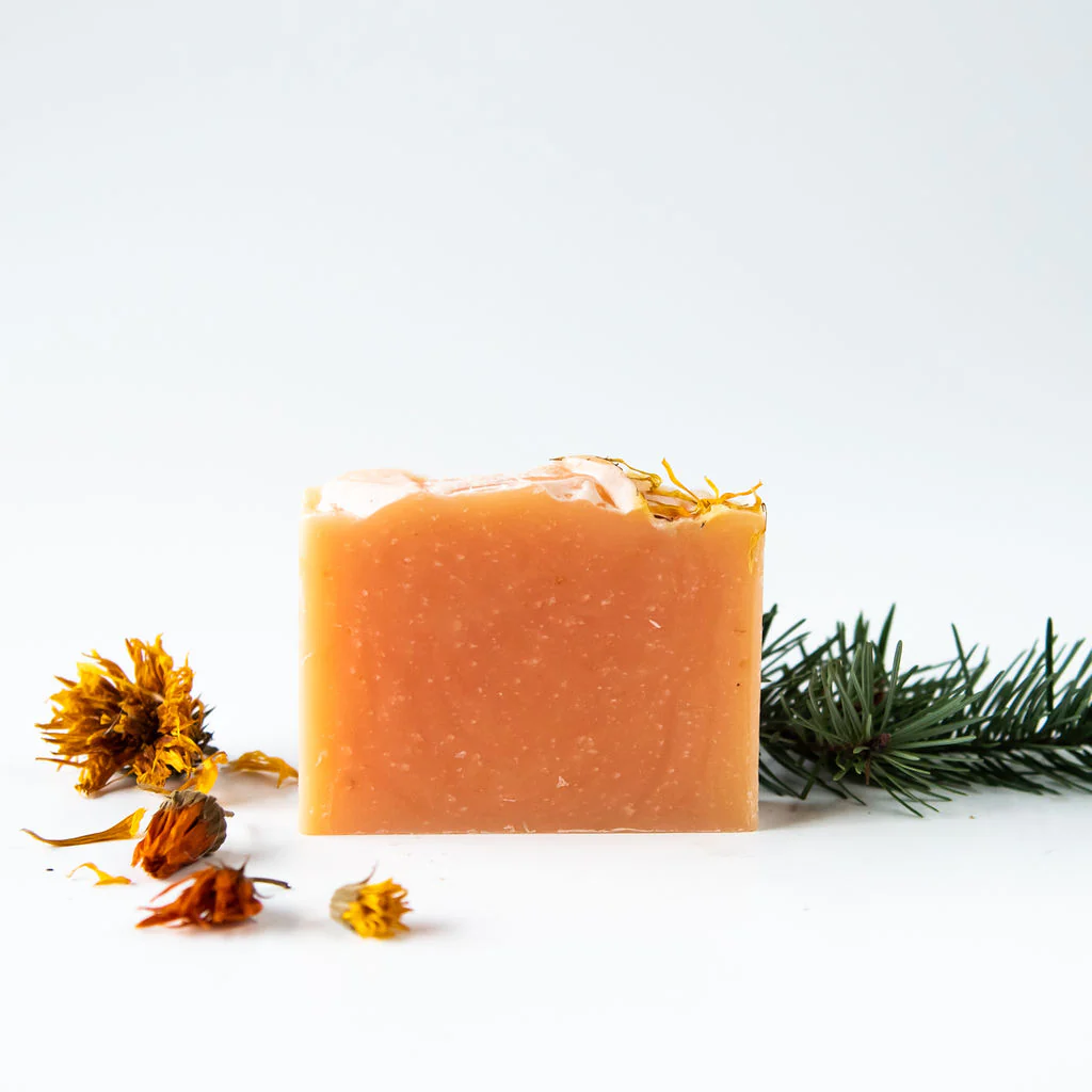 Dirty Pup- gentle pet shampoo - Image 3