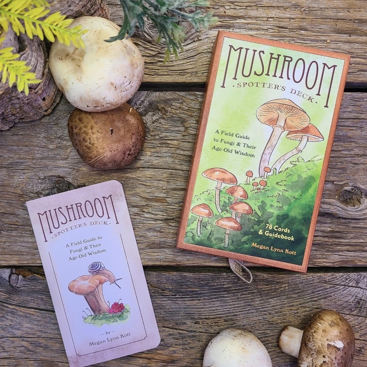 Mushroom Spotter's Deck: A Field Guide to Fungi - Image 3